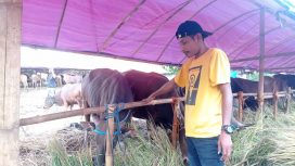 Bogor Daily – Laman 555 – The Way Of Solution