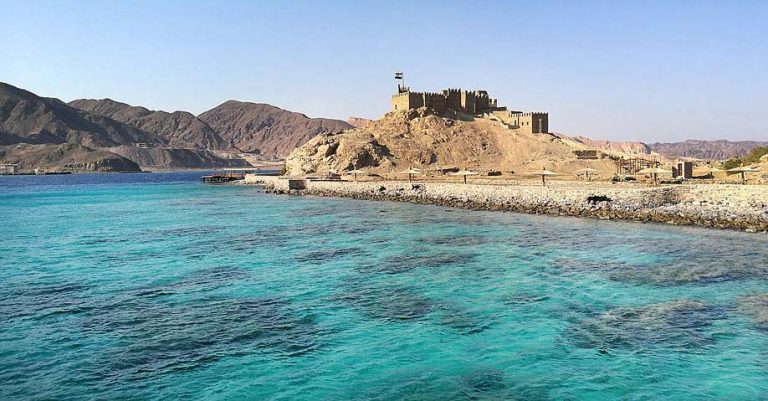 Serangan Hiu Tewaskan Dua Turis Asing di Laut Merah Mesir