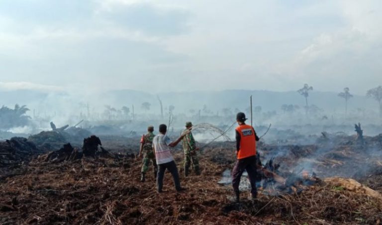 Kebakaran Hutan di Aceh Hanguskan 1,5 Hektar Lahan