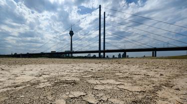 Sungai Rhine Surut, Pasokan Air Industri Jerman Terancam Kekeringan