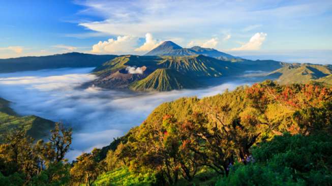 
 Gunung Semeru (Shutterstock/Suara.com/Bogordaily.net)
