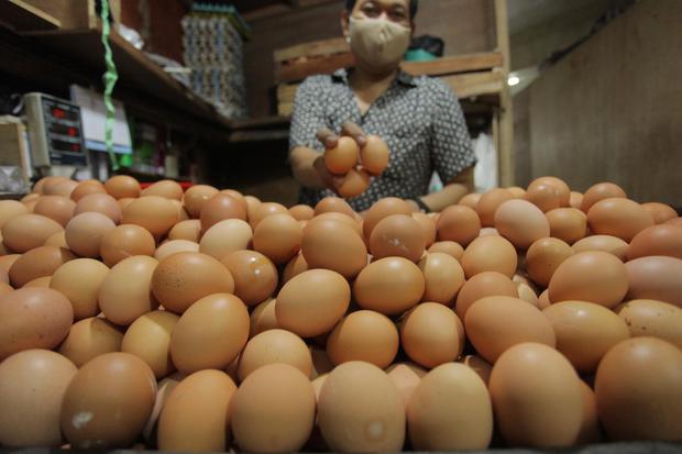 Harga Telur di Bogor Makin Mahal, 1 Kg Rp 32 Ribu