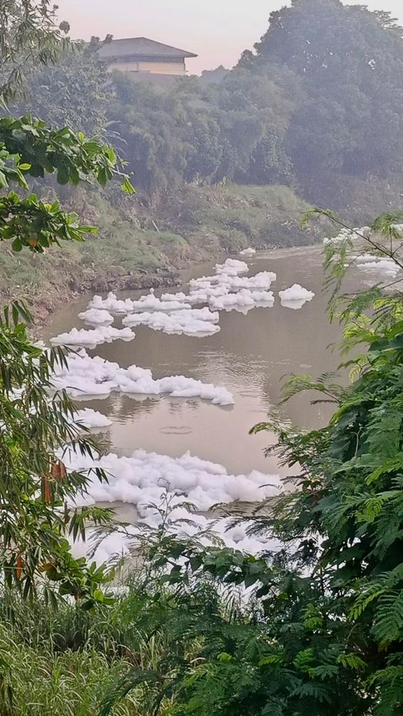 
 Pantau CCTV sampai Aplikasi Onlimo, Cegah Pencemaran Sungai Cileungsi