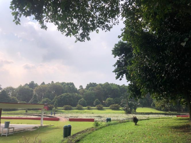 
 Pemandangan di area Kebun Raya Cibinong, Kabupaten Bogor.(Mutia/Bogordaily.net)