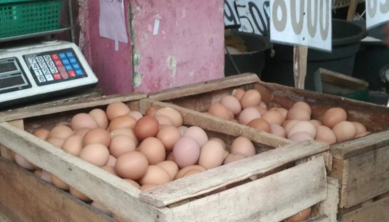 Harga Telur Ayam di Kabupaten Naik, Termasuk Pangan Lainnya?