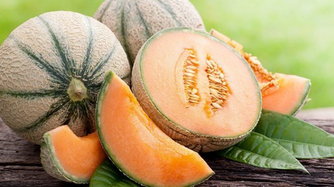 
 Melon. (Tribun/Bogordaily.net)