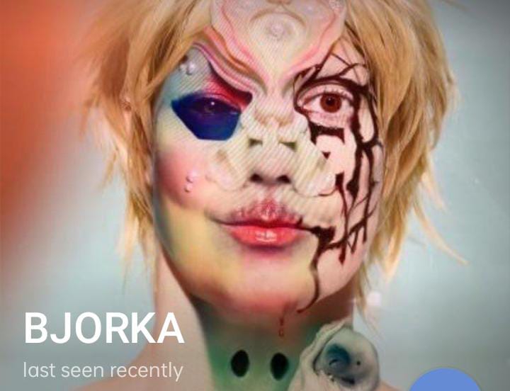 Bjorka Ternyata Seorang Perempuan di Islandia? Hacker yang Sedang Hits di Indonesia