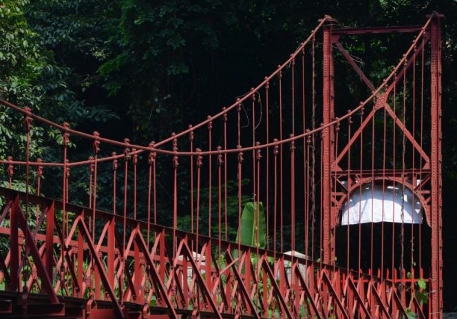 
 Kisah Jembatan Merah yang Berada di Kebun Raya Bogor. (bobo/Bogordaily.net)
