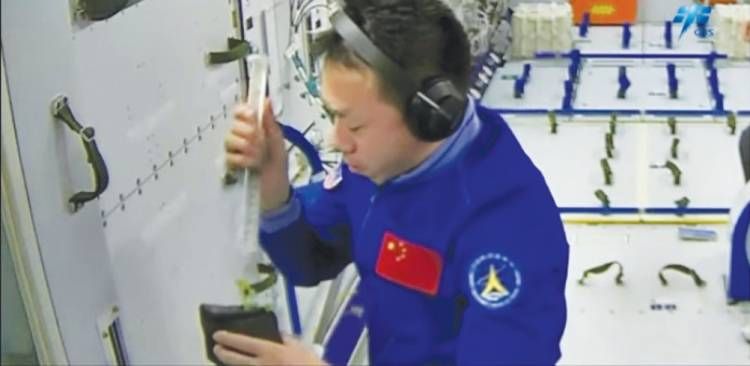 Keren, Astronot China Berhasil Menanam Padi Diluar Angkasa