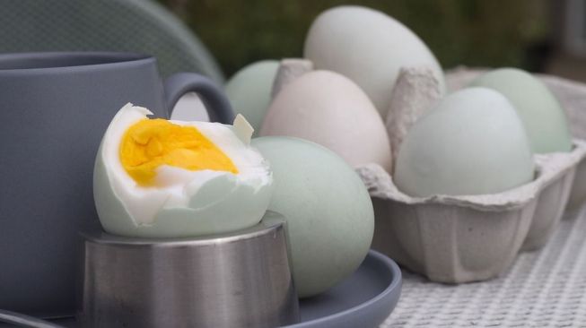 Bisa untuk Kekebalan Tubuh, Manfaat vs Bahaya Telur Asin