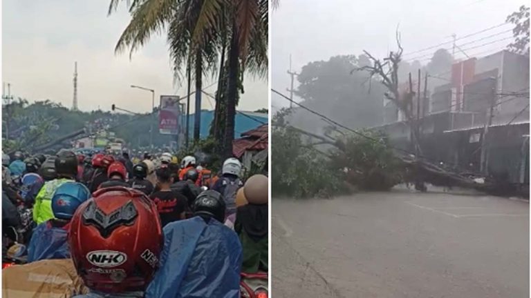 Ada Pohon Tumbang, Jalan Raya Bogor-Sukabumi Lumpuh!