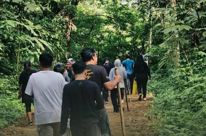 Mau Healing Jelajahi Hutan? Yuk Ikut Paket Tour De Jungle di LGE
