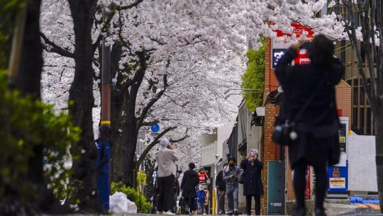 Asik, Jepang Berlakukan Bebas Visa Mulai 11 Oktober