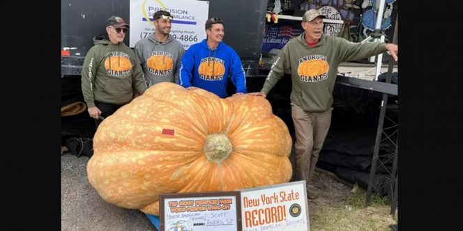 
 Petani di Lancaster, New York dan labu seberat 1.158 kilogram. (Istimewa/Bogordaily.net)