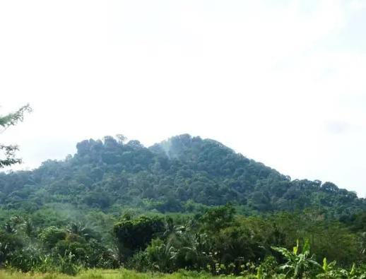 
 Suasana Gunung Munara, di Kecamatan Rumpin, Kabupaten Bogor. (Irfan/Bogordaily.net)