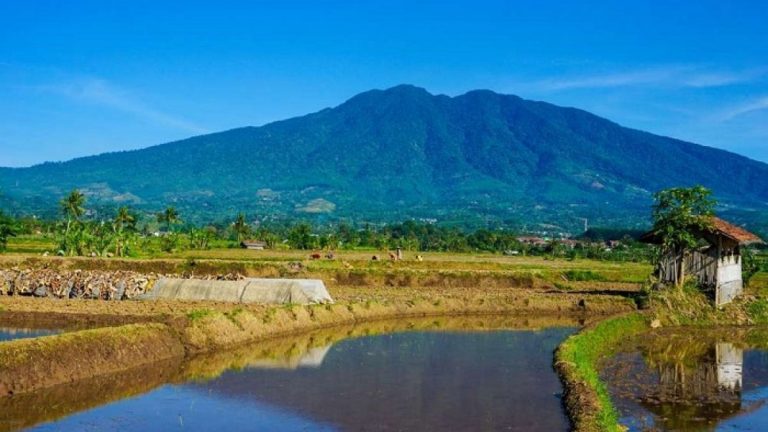 Cocok Buat Pendaki, Ini 5 Tempat Wisata Gunung di Jawa Barat