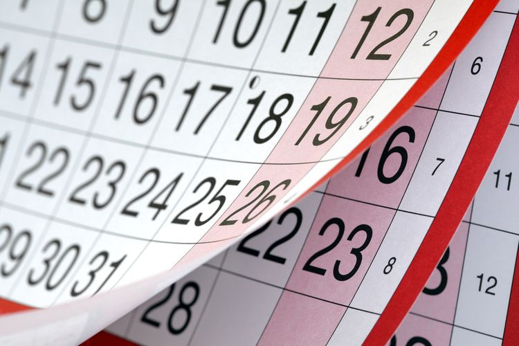 Catat, Jadwal Libur dan Cuti Bersama Hari Raya Idul Adha 2023