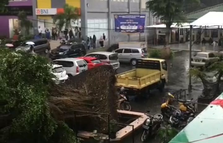 Diterjang Hujan Angin, Pohon Besar Tumbang di Universitas Pakuan