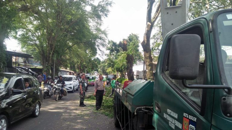 Dinas Perumkim Tebang Pohon, Sertu Syahrir Berikan Pengawalan 