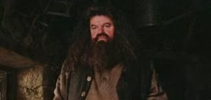 Biografi Robbie Coltrane, Pemeran Hagrid Di Film Harry Potter