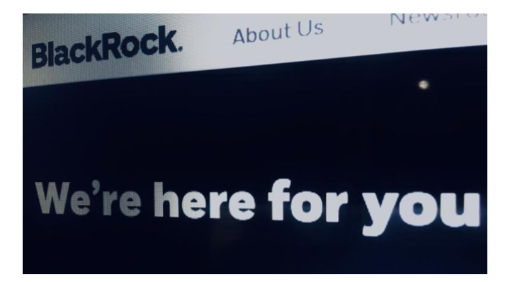 Black Rock Perusahaan Apa? Berikut Profilnya
