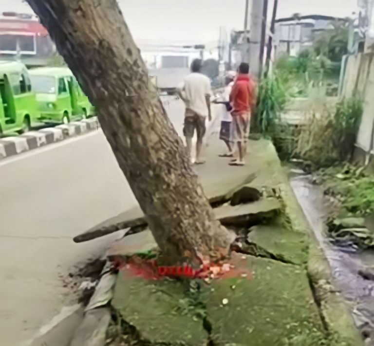 Setelah Viral, Disperumkim Tebang Pohon di Simpang Yasmin
