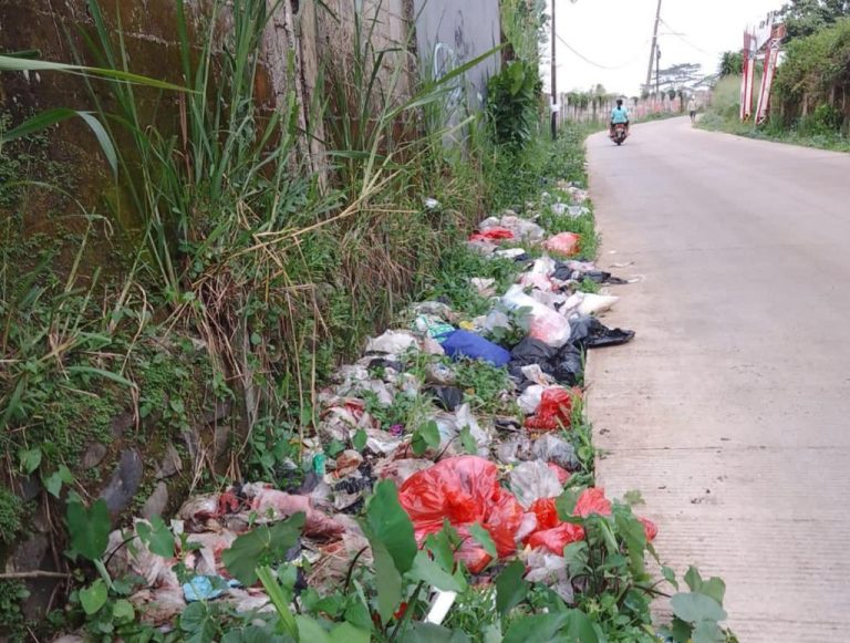 Kabupaten Bogor Darurat Sampah, Ini Kata KNPI Kemang