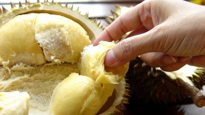 Jangan Tertipu Penampilan Luarnya, Ini Cara Memilih Durian yang Manis dan Tebal