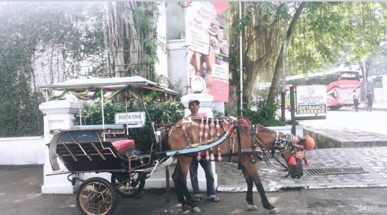 Sahira Butik Hotel Sediakan Delman untuk Keliling Kota Bogor, Gratis