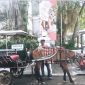 Gratis, Sahira Butik Hotel Sediakan Delman Untuk Keliling Kota Bogor