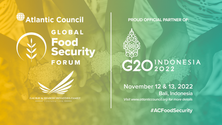 Atlantic Council Selenggarakan Global Food Security Forum Perdana pada KTT G20