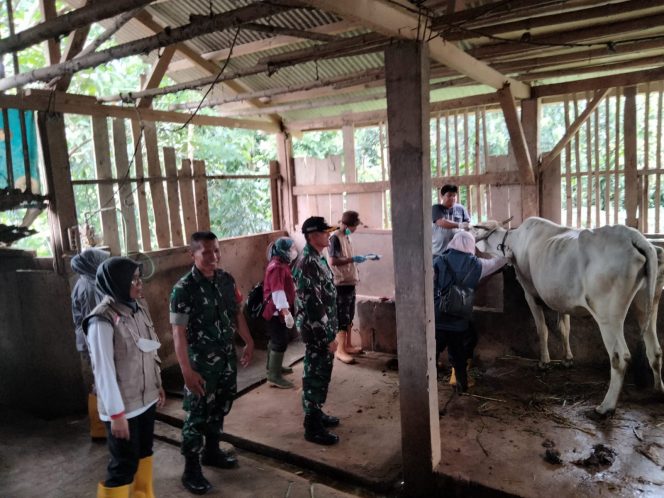 Peltu Bambang Gunawan Saat Terjun ke Peternakan Hewan di Wilayah Kelurahan Muarasari. (Istimewa/Bogordaily.net)