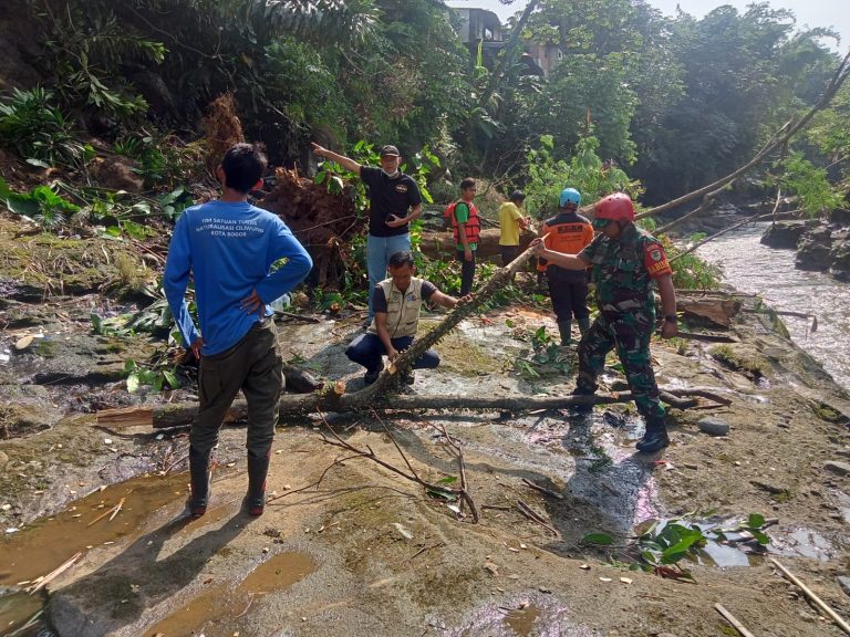 Sertu Asmadi Monitoring Pembersihan Pohon di Baranangsiang