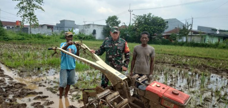 Peltu Asep Saripudin Bantu Pengolahan Sawah KWT Diwilayah Binaan