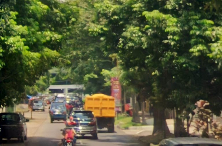 Didata Disperumkim, Pohon di Kota Bogor Punya KTP