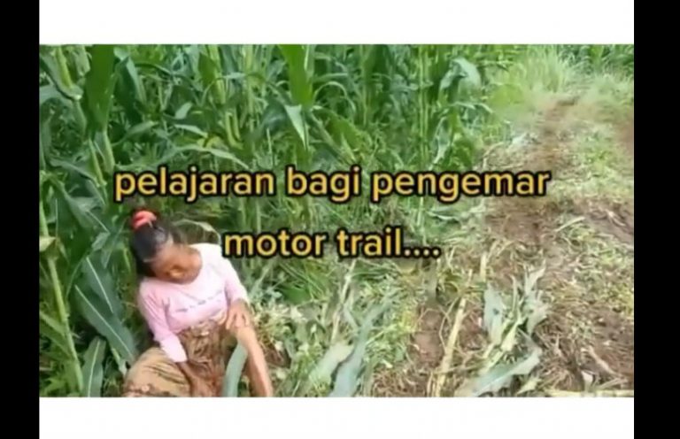 Viral, Rombongan Motor Trail Cuek Bebek, Nenek Nangis Histeris Kebun Jagungnya Rusak