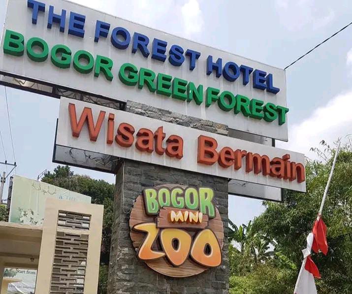 Usai Viral Video 2 Ekor Bayi Monyet Tewas, Bogor Mini Zoo Ditutup Sementara