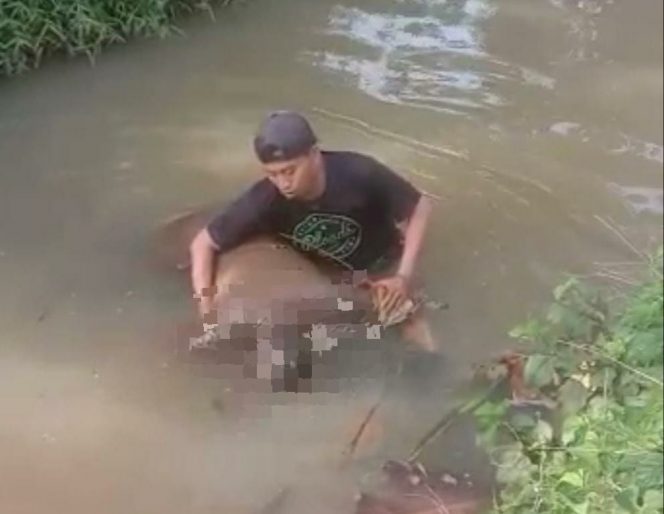 
 Penemuan Mayat Laki-laki di Kali Haji Newi Kulon, pada Sabtu, 3 Desember 2022.(Tangkapan Layar/Bogordaily.net)