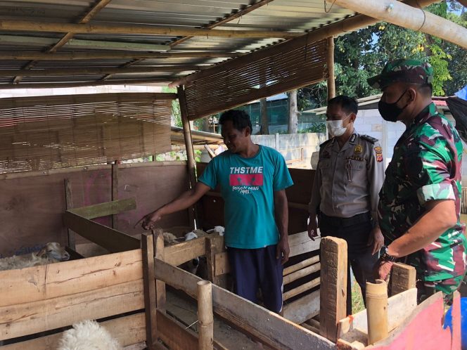 
 Babinsa Kelurahan Sindangrasa meninjau tempat peternakan kambing, Kamis, 22 Desember 2022. (Istimewa/Bogordaily.net)