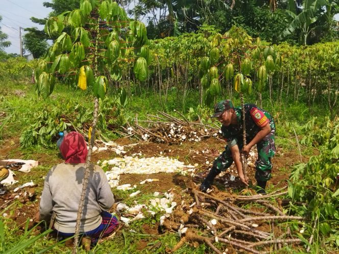 
 Babinsa Kelurahan Katulampa melakukan sosialisasi dengan pemilik kebun singkong. (Istimewa/Bogordaily.net)