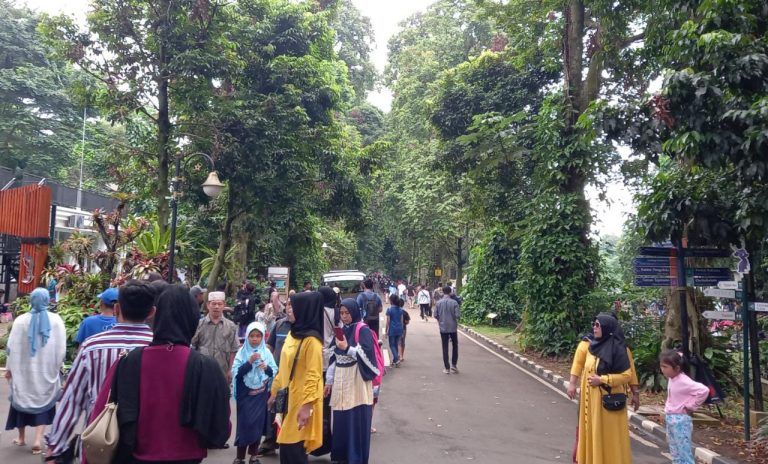 Musim Hujan Liburan ke Kebun Raya Bogor, Ini Tips dari Pengelola  
