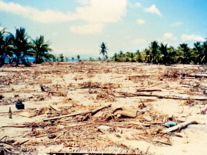 Mengenang Gempa dan Tsunami Flores 30 Tahun Lalu, Ribuan Orang Tewas
