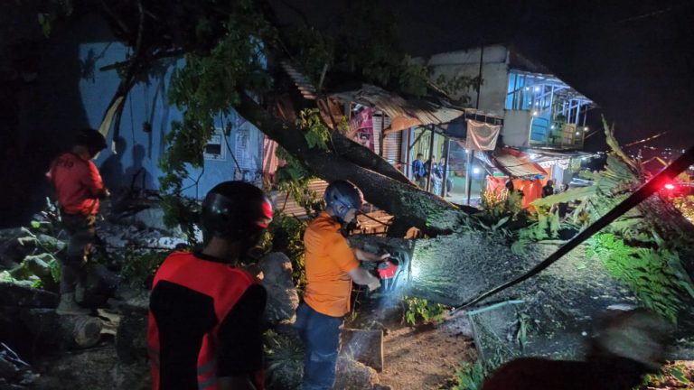 Hujan Angin, Pohon Tumbang Timpa Masjid dan Ambulans di Jonggol