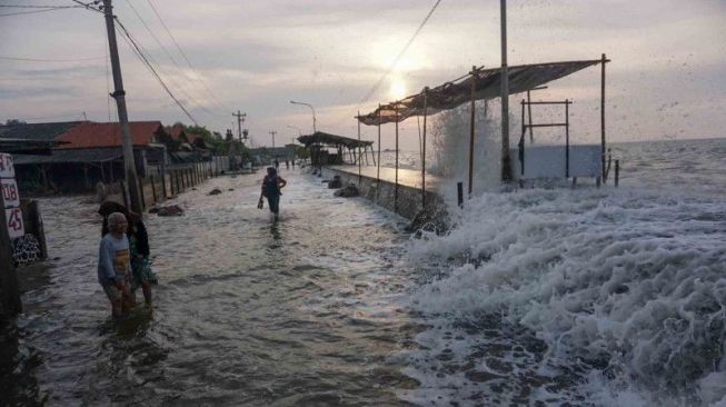 Waspada! BMKG Perkirakan Terjadi Banjir Rob di Sejumlah Wilayah Pesisir Indonesia