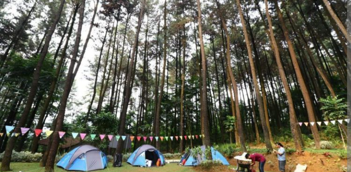 Pilih Sendiri Deh, 4 Hutan Pinus Bogor Tempat Healing yang Bikin Happy