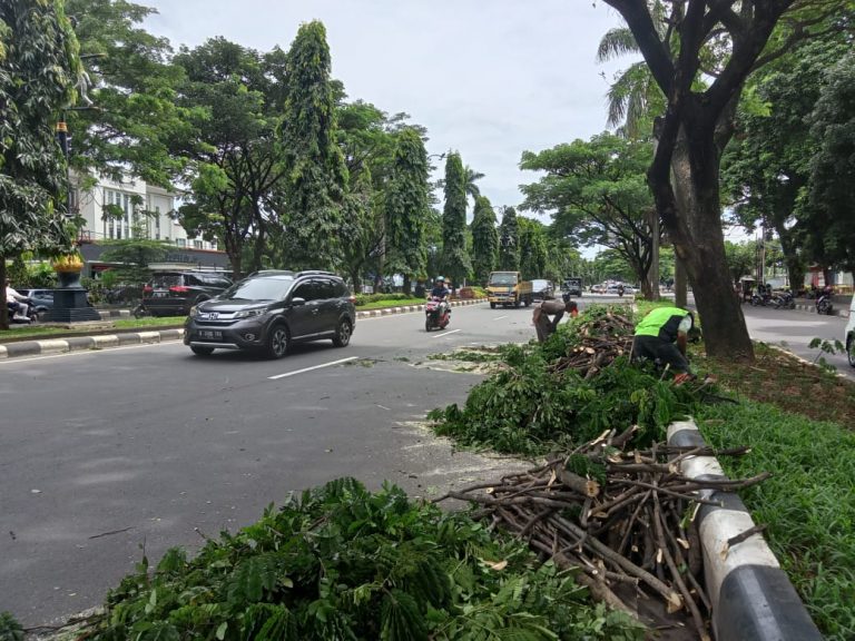 Khawatir Tumbang, DKP Pangkas Pohon Rapuh di Sepanjang Jalan Tegar Beriman