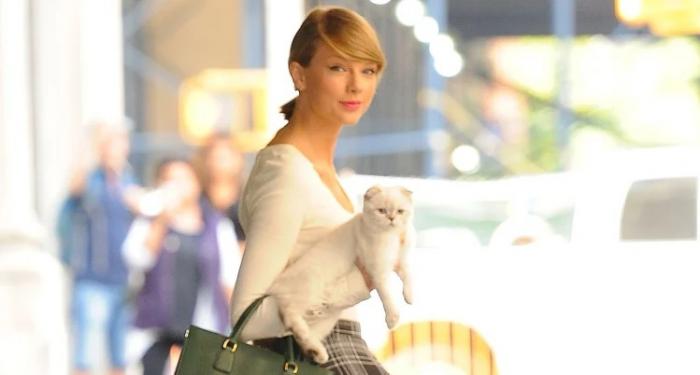 Fantastis! Kucing Milik Taylor Swift Jadi yang Terkaya di Dunia