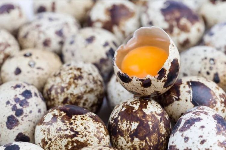 5 Manfaat Konsumsi Telur Puyuh, Cegah Anemia