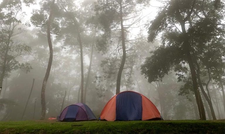 Puncak Langit Camping Ground: Nikmati Hutan Pinus Berselimut Kabut Tebal
