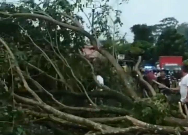 Hujan Disertai Angin Kencang di Kabupaten Bogor, BPBD Catat Ada 16 Titik  